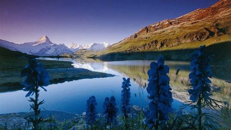 Grindelwald, Suiza 🗺️ Foro Europa 0