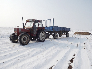 Hamjum, Hamgyong del Sur, Korea del Norte 0