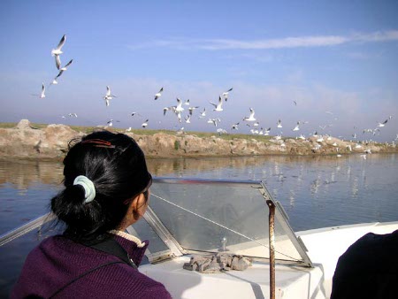 Hasuhai, Sanxi, China 1