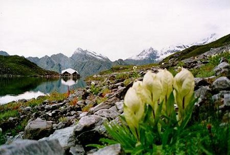 Hemkund Saheb, Uttarakhand, India 2