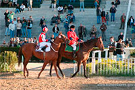 Hipodromo de Palermo, Buenos Aires, Argentina 🗺️ Foro América del Sur y Centroamérica 1