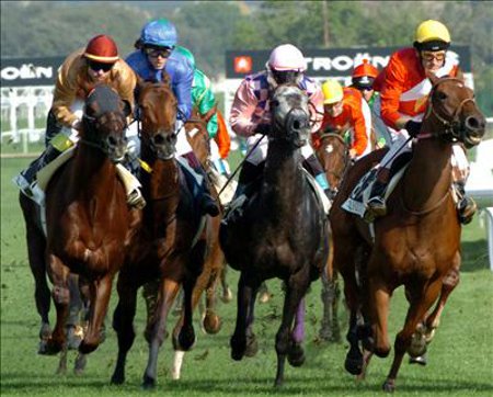 Hipodromo de Donostia - San Sebastian 1