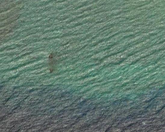 Submarino HNLMS O-19 - Ladd Reef, Mar del Sur de China 2 - HMAS Otama - Royal Australian Navy (RAN) 🗺️ Foro General de Google Earth