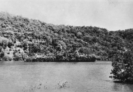 El barco que se disfrazó de isla 0 - Historias Sorprendentes de Guerra 🗺️ Foro Belico y Militar