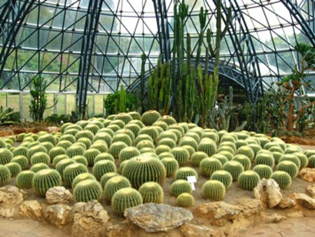 Jardín de la Exposición Mundial de Horticultura de Kunming 🗺️ Foro China, el Tíbet y Taiwán 1