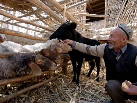 Hotan, Xinjiang, China 2