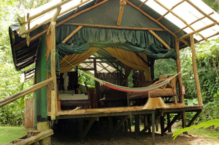 Hotel Danta Corcovado Lodge, Golfo Dulce, Costa Rica 🗺️ Foro América del Sur y Centroamérica 1