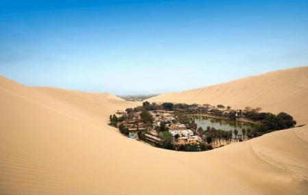 Oasis Peru (como los de las peliculas) 🗺️ Foro América del Sur y Centroamérica 1