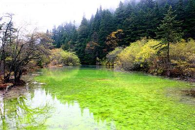 Huanglong, Sichuan, China 0