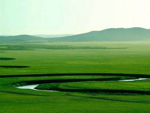 Pradera Hulunbuir, China 0