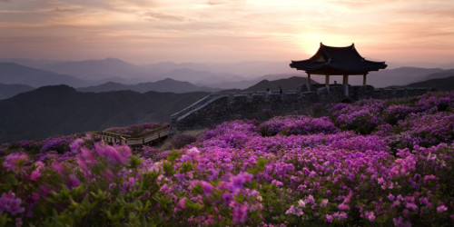 Hwangmaesan, Gyeongsang del Sur, Corea del Sur 0