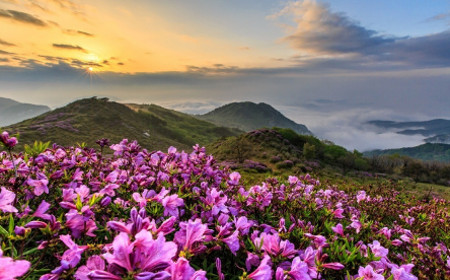 Hwangmaesan, Gyeongsang del Sur, Corea del Sur 🗺️ Foro Asia 1