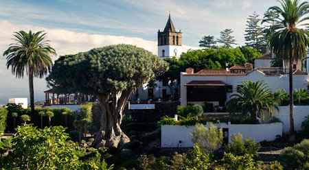 Icod de Los Vinos, Tenerife, Canarias (Foto 1)