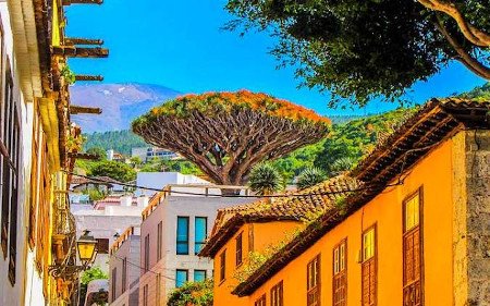 Icod de Los Vinos, Tenerife, Canarias (Foto 2)