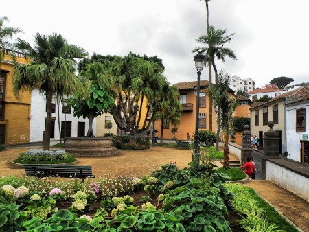 Icod de Los Vinos, Tenerife, Canarias 1