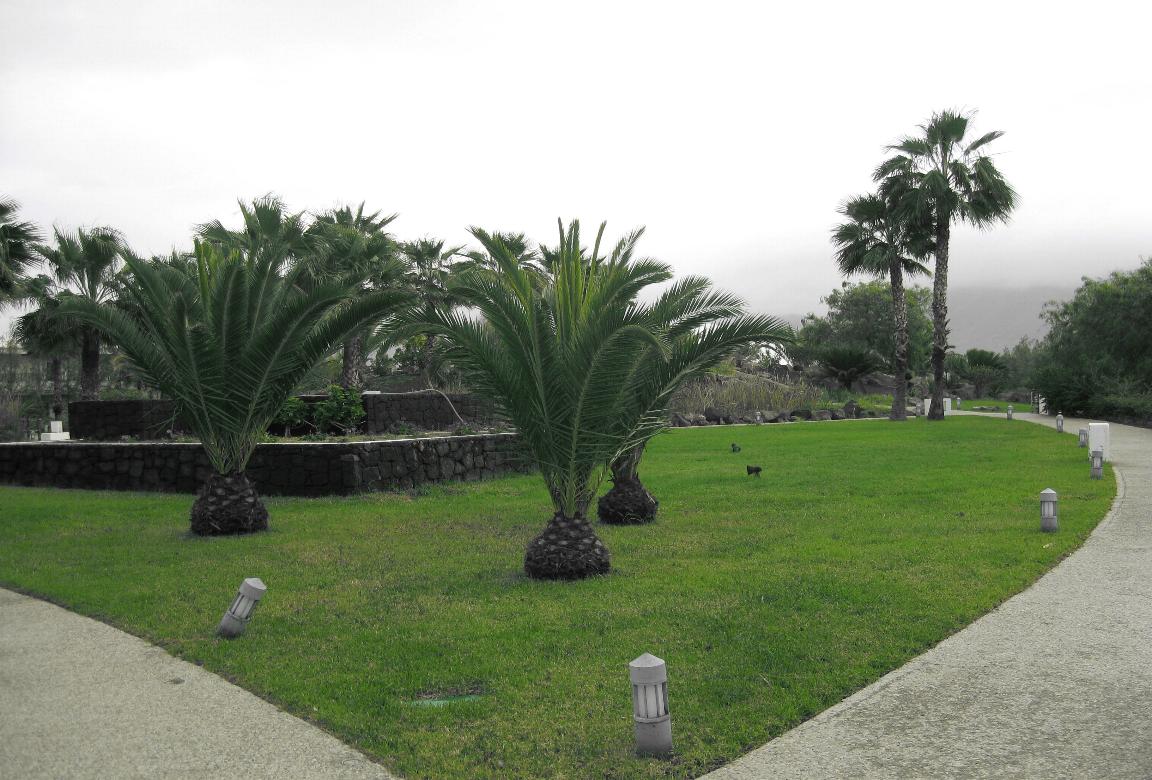 AparHotel Sun Island, Playa Blanca, Lanzarote, isl. Canarias 🗺️ Foro España 0