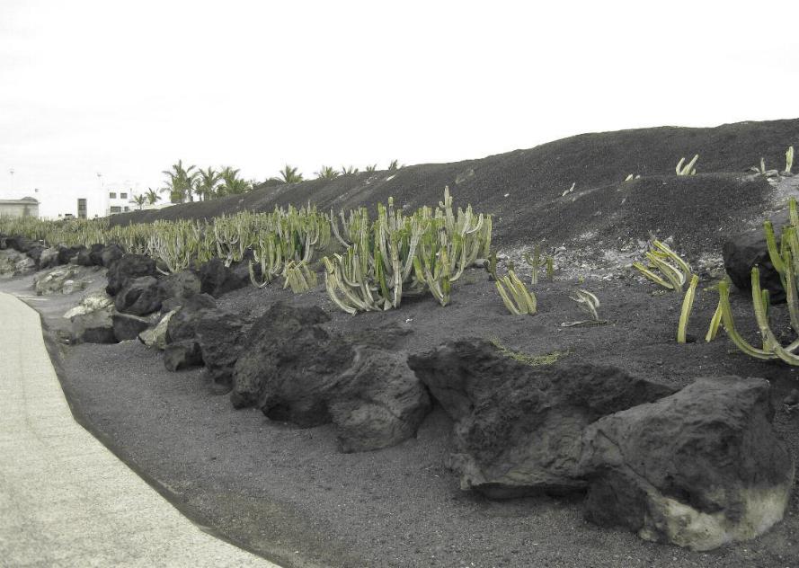 Playa Blanca, Lanzarote, Islas Canarias 0