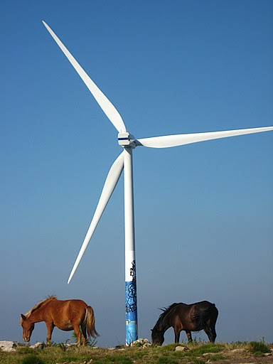 Parques Eolicos, Molinos de Viento, Aerogeneradores 0