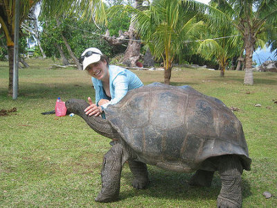 Atolón de Aldabra, Islas Seychelles 🗺️ Foro África 0