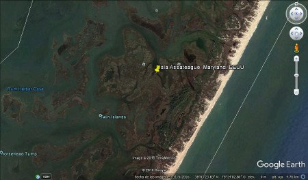 Isla Assateague, Maryland, EEUU 2