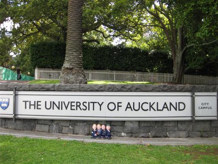 Isla de Auckland, Oceania 🗺️ Foros de Google Earth y Maps 1