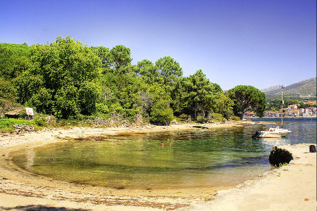 Isla de Cortegada, Pontevedra, Galicia 0