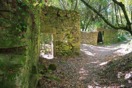 Isla de Cortegada, Pontevedra, Galicia 1