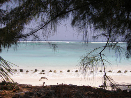 isla de Lakshadweep, Kerala, India 0