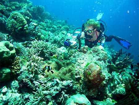 Isla de Tetepare, Islas Salomón 1