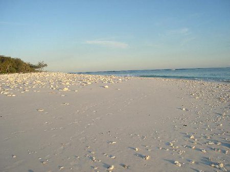 Isla de Wilson, Australia 🗺️ Foro Oceanía 1