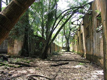 Isla del Diablo - Guayana Francesa - Caribe 1