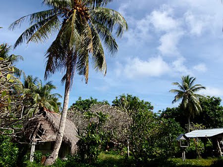 isla Fassarai, Micronesia 1