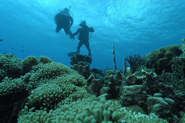 isla Klein Bonaire, Bonaire, mar Caribe 1