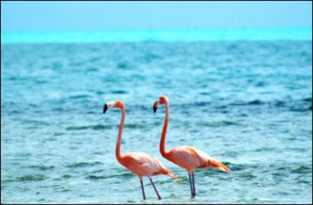 Isla Mayaguana, Bahamas 1