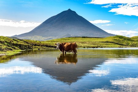 Isla Pico, Azores, Portugal 0