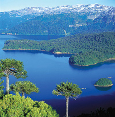 Isla Robinson Crusoe, Pacifico, Chile 🗺️ Foro América del Sur y Centroamérica 1