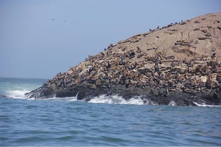 Isla San Lorenzo, Lima, Peru 1