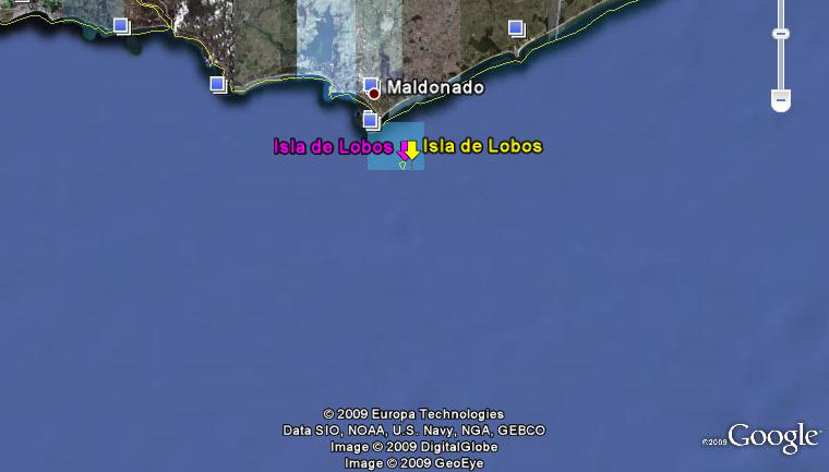 Lobos Marinos 🗺️ Foro Clima, Naturaleza, Ecologia y Medio Ambiente