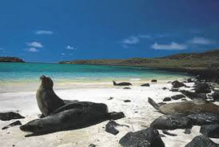 Islas Galápagos, Ecuador 🗺️ Foro América del Sur y Centroamérica 0