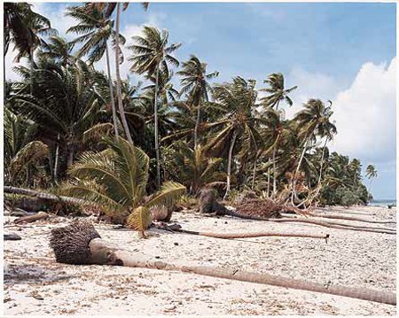 Islas Marshall, Pacifico 🗺️ Foro Oceanía 0