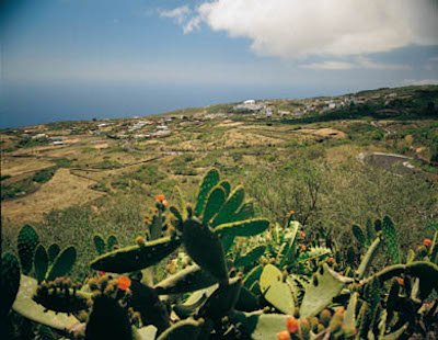 Isora, El Hierro, Canarias 1