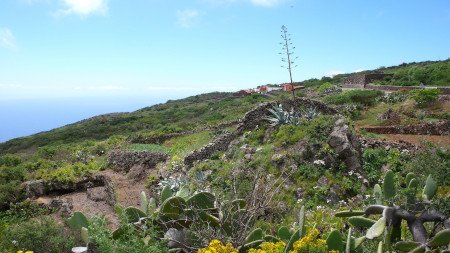 Isora, El Hierro, Canarias 🗺️ Foro España 0