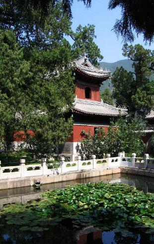 Jardín Botánico de Beijing, China 🗺️ Foro China, el Tíbet y Taiwán 0