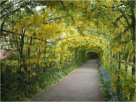 Jardín Botánico Kawachi Fuji, Kitakyüshü, Fukuoka, Japón ⚠️ Ultimas opiniones 0