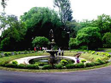 Jardín botánico Montevideo, Uruguay 0