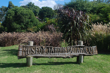 Jardín botánico Montevideo, Uruguay 1