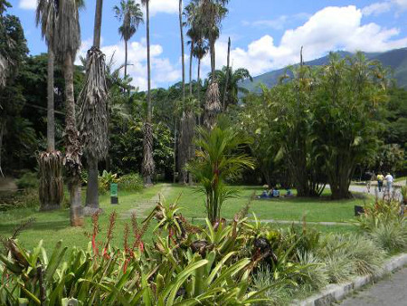 Jardin Botánico de Caracas, Venezuela 0