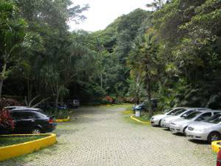 Jardin Botánico de Caracas, Venezuela 1