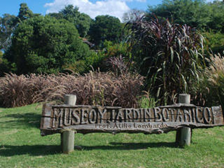 Jardin Botanico, Montevideo, Uruguay 1