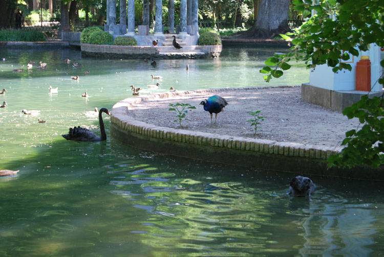 Jardin del Principe